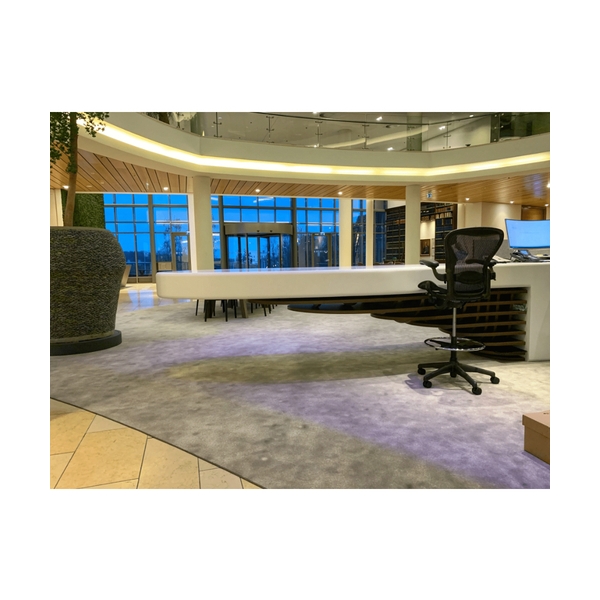 Corian and Solid Wood Technology Companies Office Reception Desk